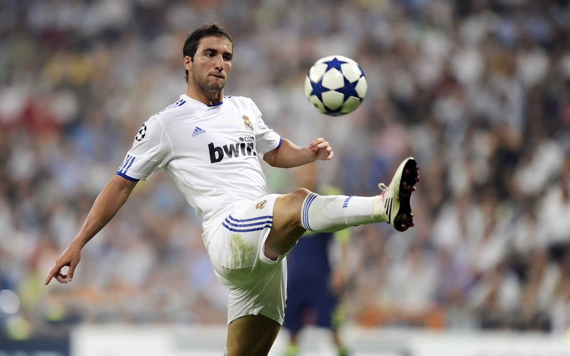 体育场馆改造工程推进